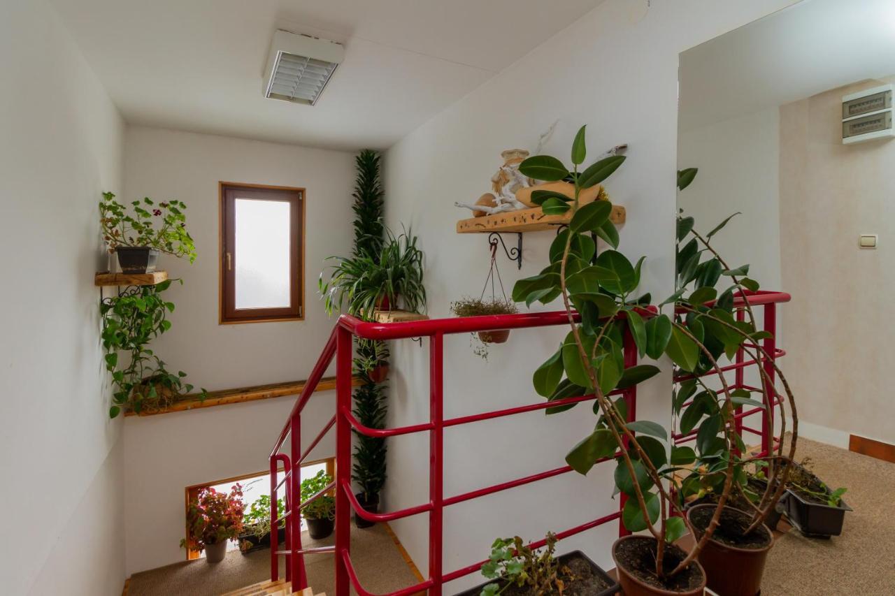 Apartmani Nika Златибор Экстерьер фото