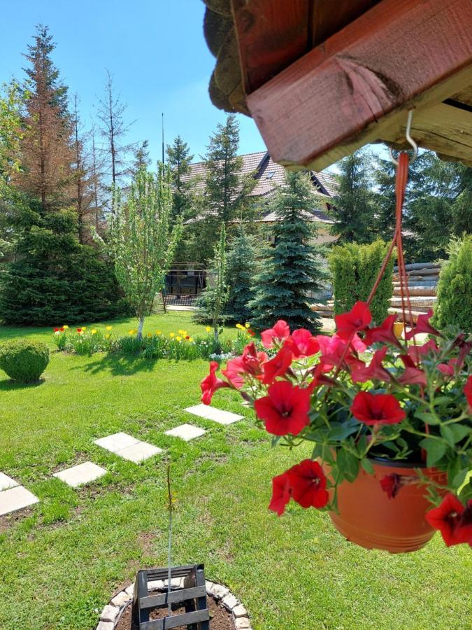 Apartmani Nika Златибор Экстерьер фото